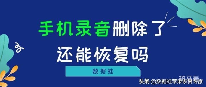 手机录音误删怎么恢复苹果（两个简单又实用的方法）(图1)