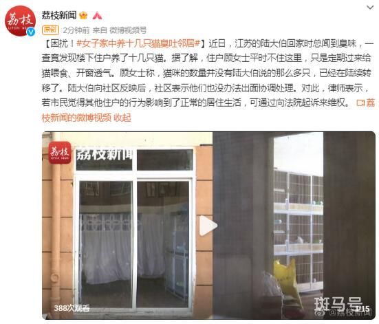 女子养10多只猫臭到邻居不敢开窗（可通过向法院起诉来维权）(图1)