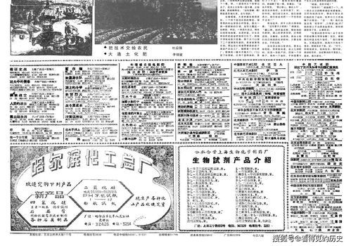 2003年12月4日出生的今年几岁