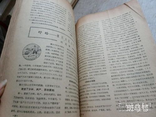 1958年9月5号阴历是多少