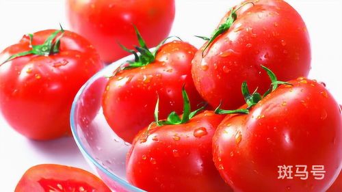 西红柿是番茄吗
