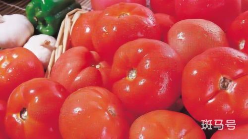 为什么吃番茄会吃出西红柿的味道