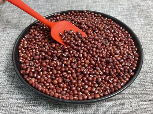 红小豆的生长期多少天