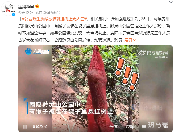 QQ截图20230726151048