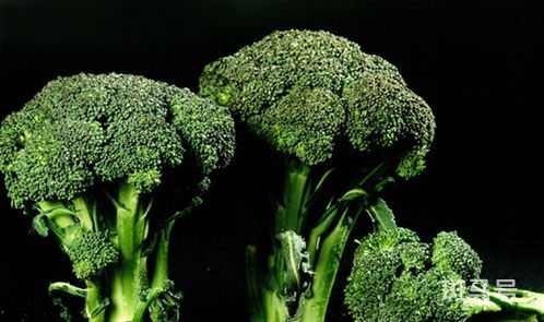 十字花科蔬菜有哪些甲状腺不能吃的