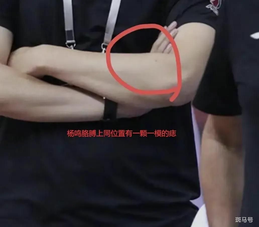 杨鸣离婚案12月12日开庭（和美女搂抱被曝光）(图4)