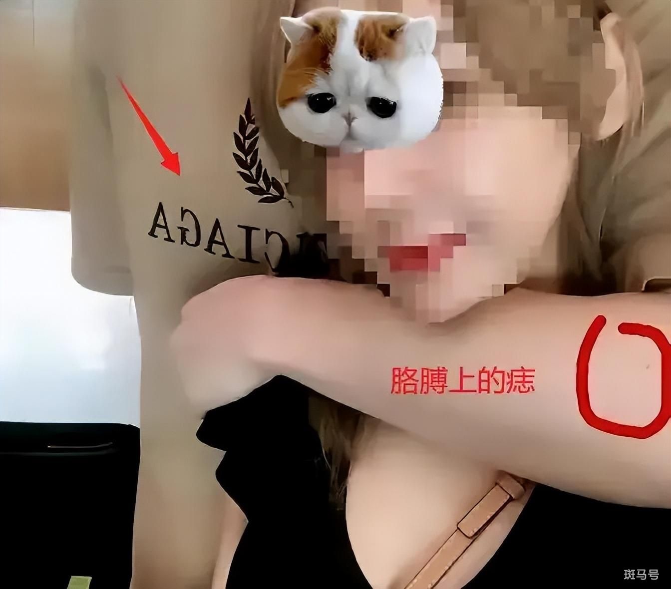 杨鸣离婚案12月12日开庭（和美女搂抱被曝光）(图2)